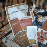 Adopt-a-cat 50 pack