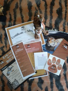 adopt-a-cat gift pack