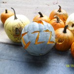 Pumpkins stuffed with meat
