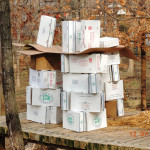 Box fort
