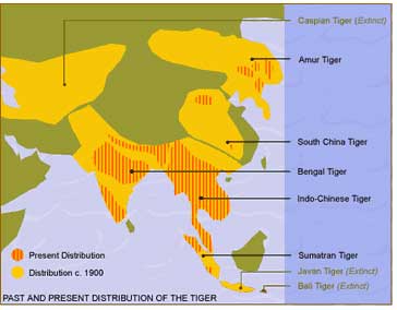 tiger-terrirory-map-pc