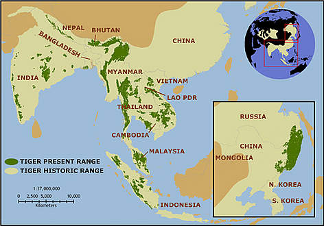 tigermap