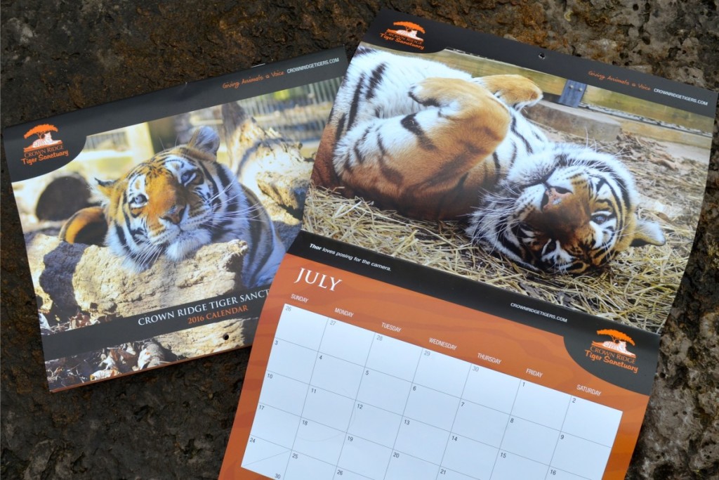 2016 Calender