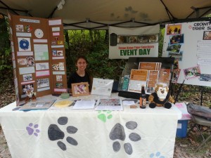 Wolf Fest 2013